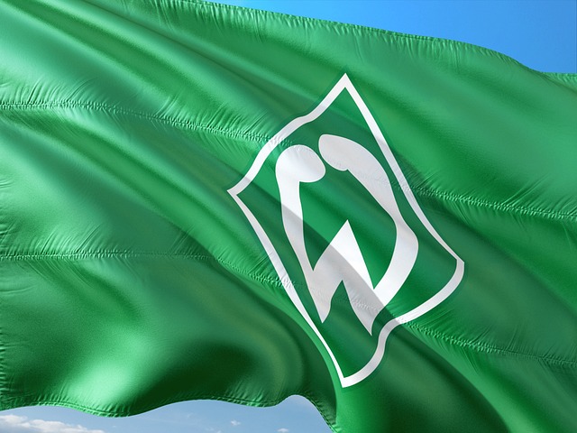 Werder verleiht Dikeni Salifou nach Österreich