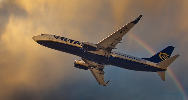 Gewaltprävention: Ryanair-Chef schlägt Getränke-Limit vor