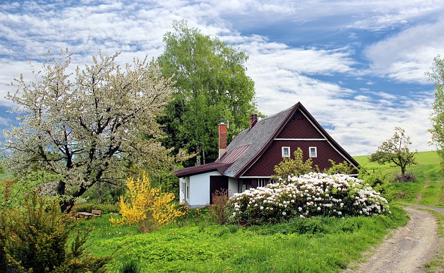 Turbo Nachsaat für 26 Euro: Die besten Angebote für Haus und Garten