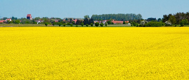 Weiter Kritik an AOK Sachsen-Anhalt