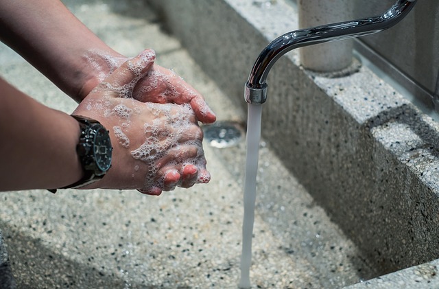 Sichere Trinkflaschen: Auswahl und Hygiene