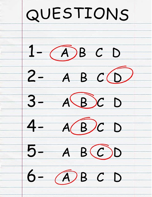 Allgemeinwissen Quiz