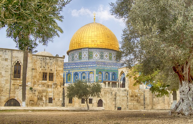 Internationale Bemühungen gegen Israel