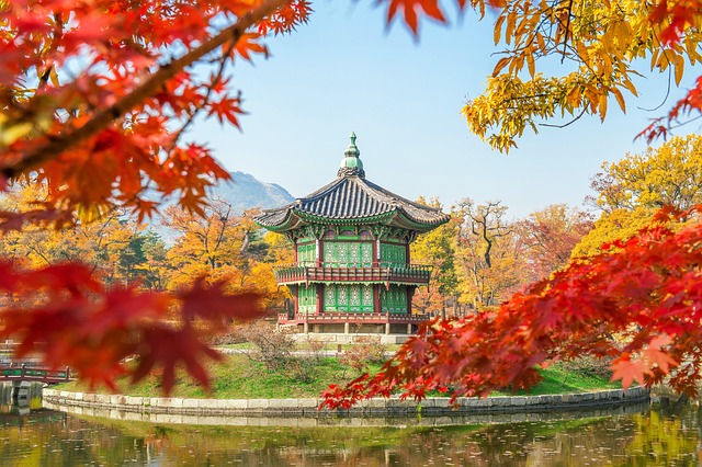 Flugzeugabsturz in Südkorea
