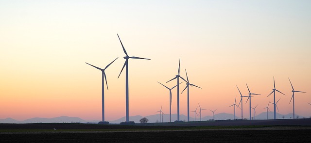 Klimaschutz im Wahlkampf