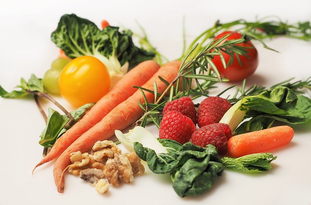 Vormenschliche Ernährung