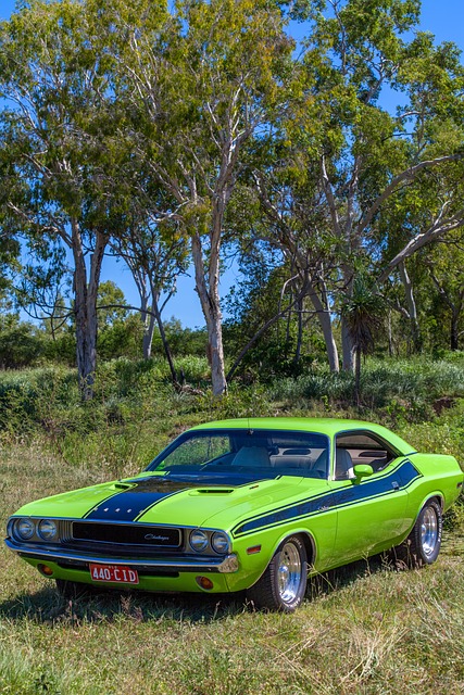 Meloni kritisiert Doppelmoral der politischen Linken