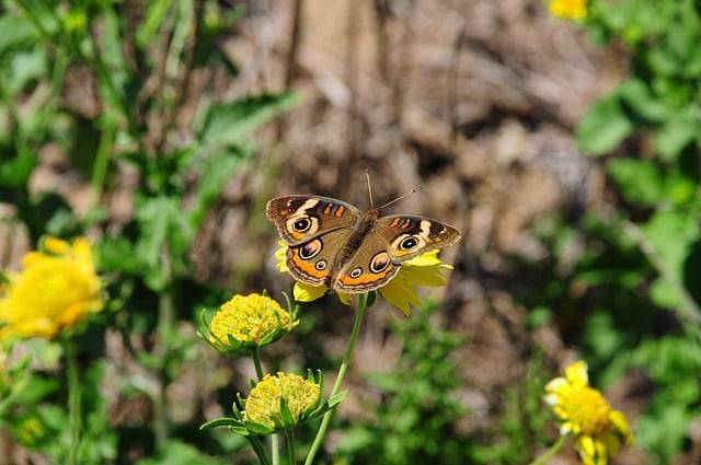 Warnung vor TikTok-Einfluss im Bundestag