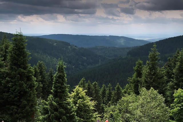 Neue Sprecherin der Thüringer DGINA