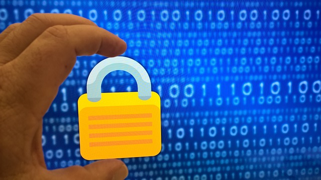 Temu erhält positive Bewertungen für Datenschutz und Kaufabwicklung