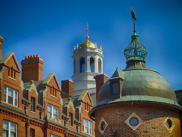 Trump kritisiert Harvard