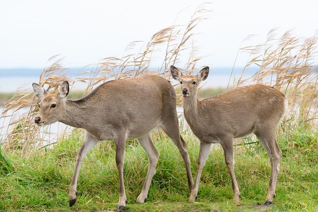 Erweiterung der CLOUD STACKIT