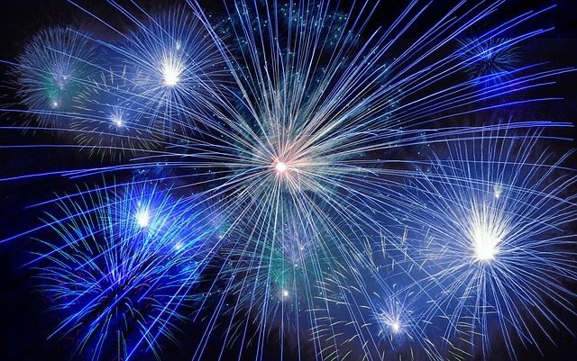 Kampagne gegen Feuerwerk in Berlin