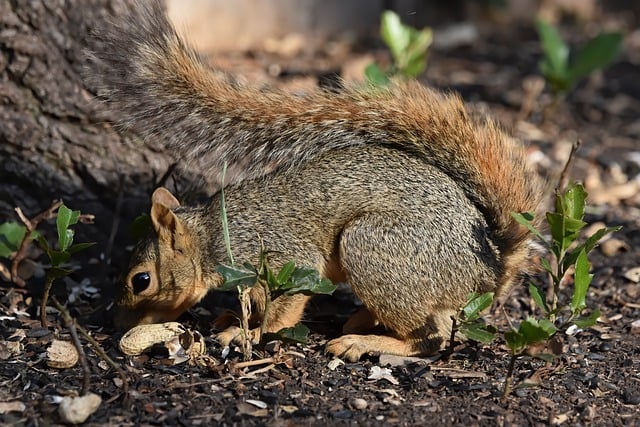 Irland: Entspannung pur