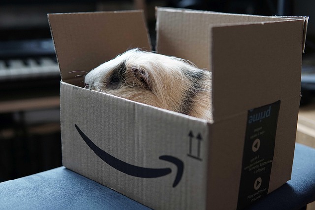 Amazon Prime Day 2025