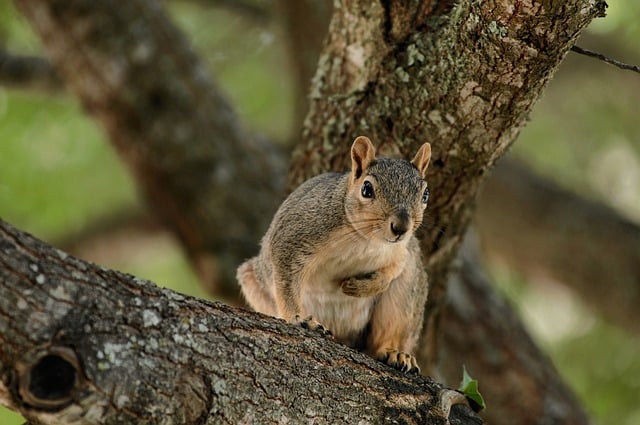 Fachkräftemangel und internationale Talente