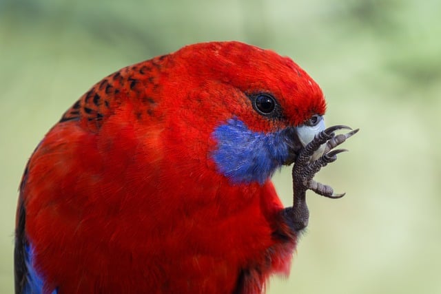 Phishing-Angriffe: Microsoft am stärksten betroffen