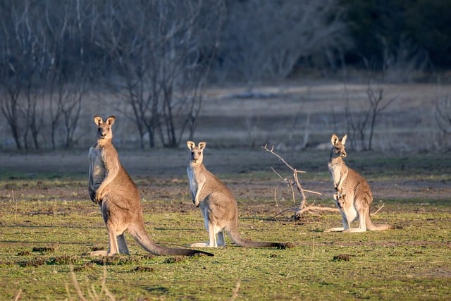 Brennpunkt: Ukraine-Konflikt
