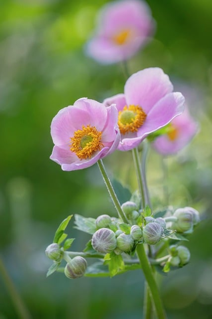 Trumps riskantes Spiel