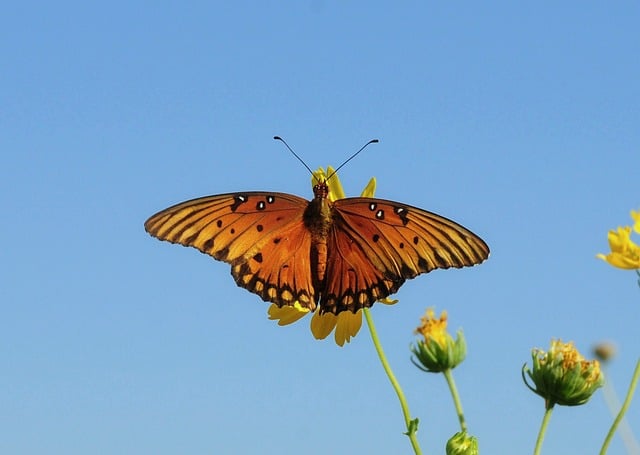 US-Soldat stirbt bei Autounfall