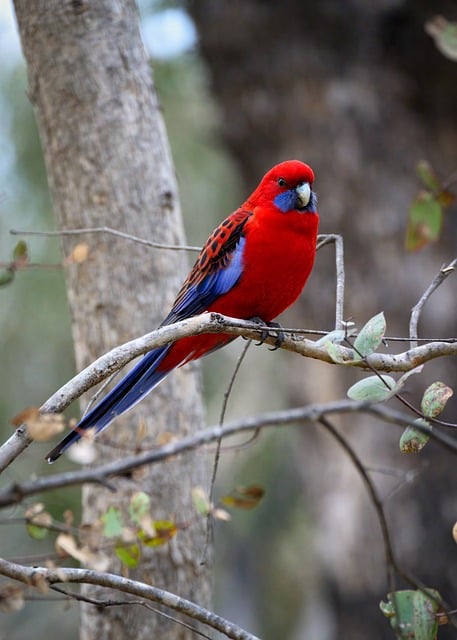 Unfall mit glimpflichem Ausgang