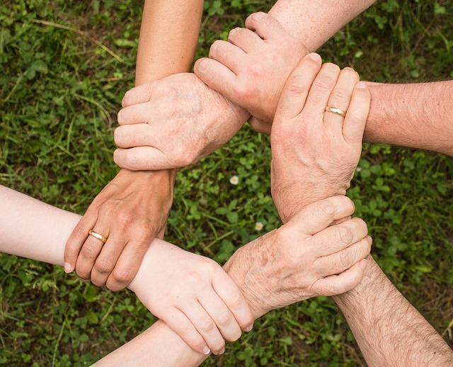 Partnerschaft für nachhaltige Gartenlösungen