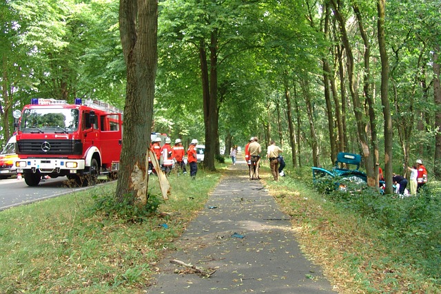 Tödlicher Verkehrsunfall bei Pommelsbrunn