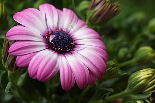 DTM in der Finalwoche