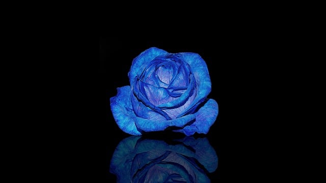 Zukunftsperspektiven