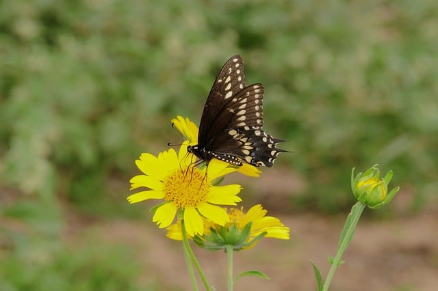 Patientenschützer kritisiert BDA-Vorschläge