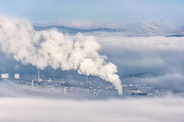 Klimawandel und Thunfischfang