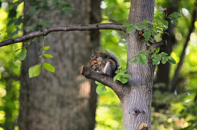 HPV-Impfung und Krebsvorsorge