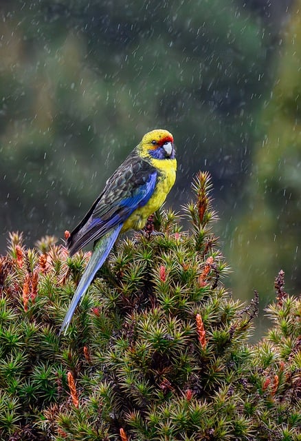 Butterpreise bei ALDI sinken