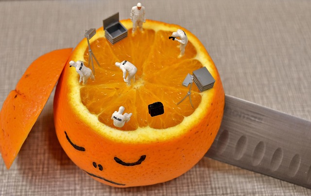 Verdächtiger im Nord-Stream-Fall in U-Haft