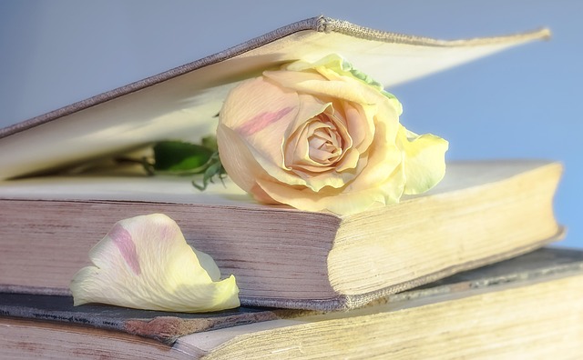 Valeria Hübner und ihr neues Buch