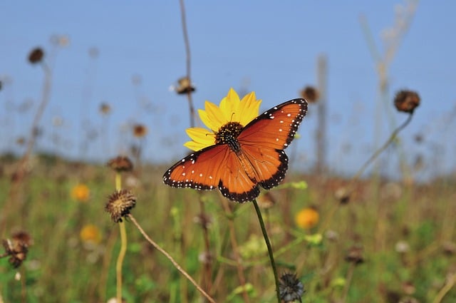 Wichtige Vorsorgeuntersuchungen