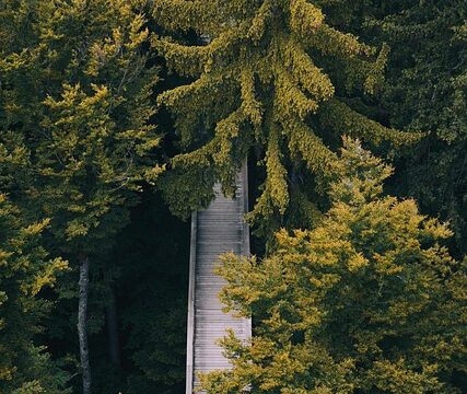 Anschlagspläne in Niederbayern