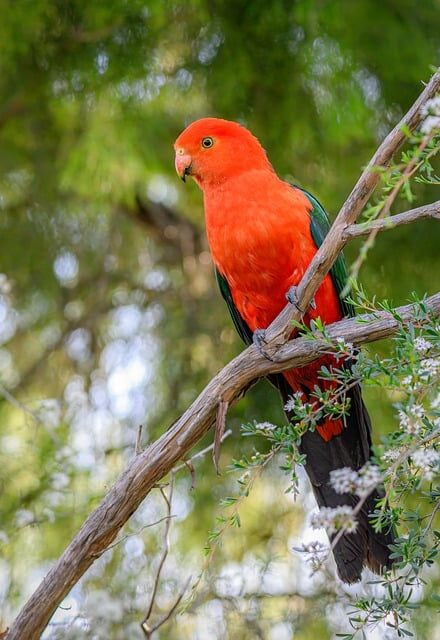 Fußballberichte vom 13. Dezember 2025