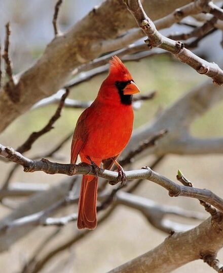 Berliner Strom-Anschlag als Terrorismus eingestuft