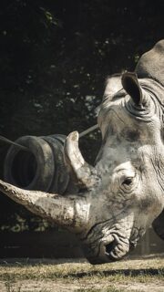 Isabell Horn im Podcast über Depressionen