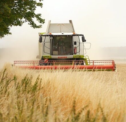 Landwirtschaft auf Mooren: Ein Ende in Sicht